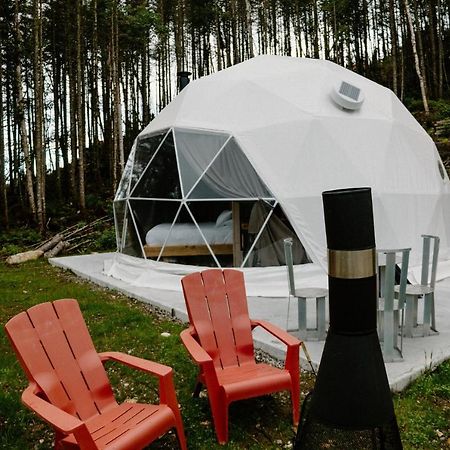 Les Diamants De L'Eternel Apartamento Saint-David-de-Falardeau Exterior foto