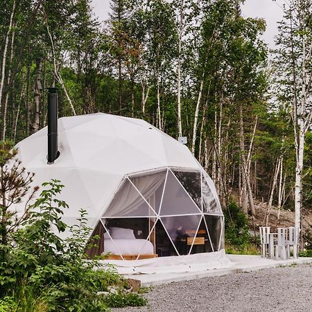 Les Diamants De L'Eternel Apartamento Saint-David-de-Falardeau Exterior foto