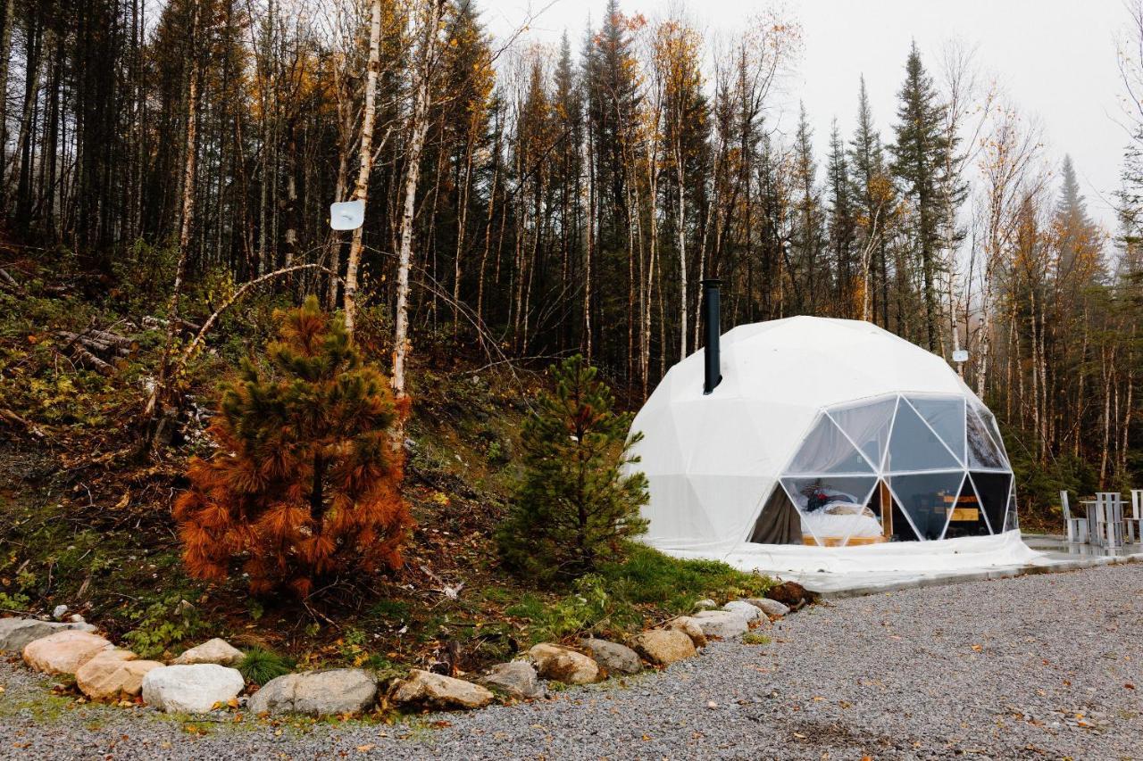 Les Diamants De L'Eternel Apartamento Saint-David-de-Falardeau Exterior foto
